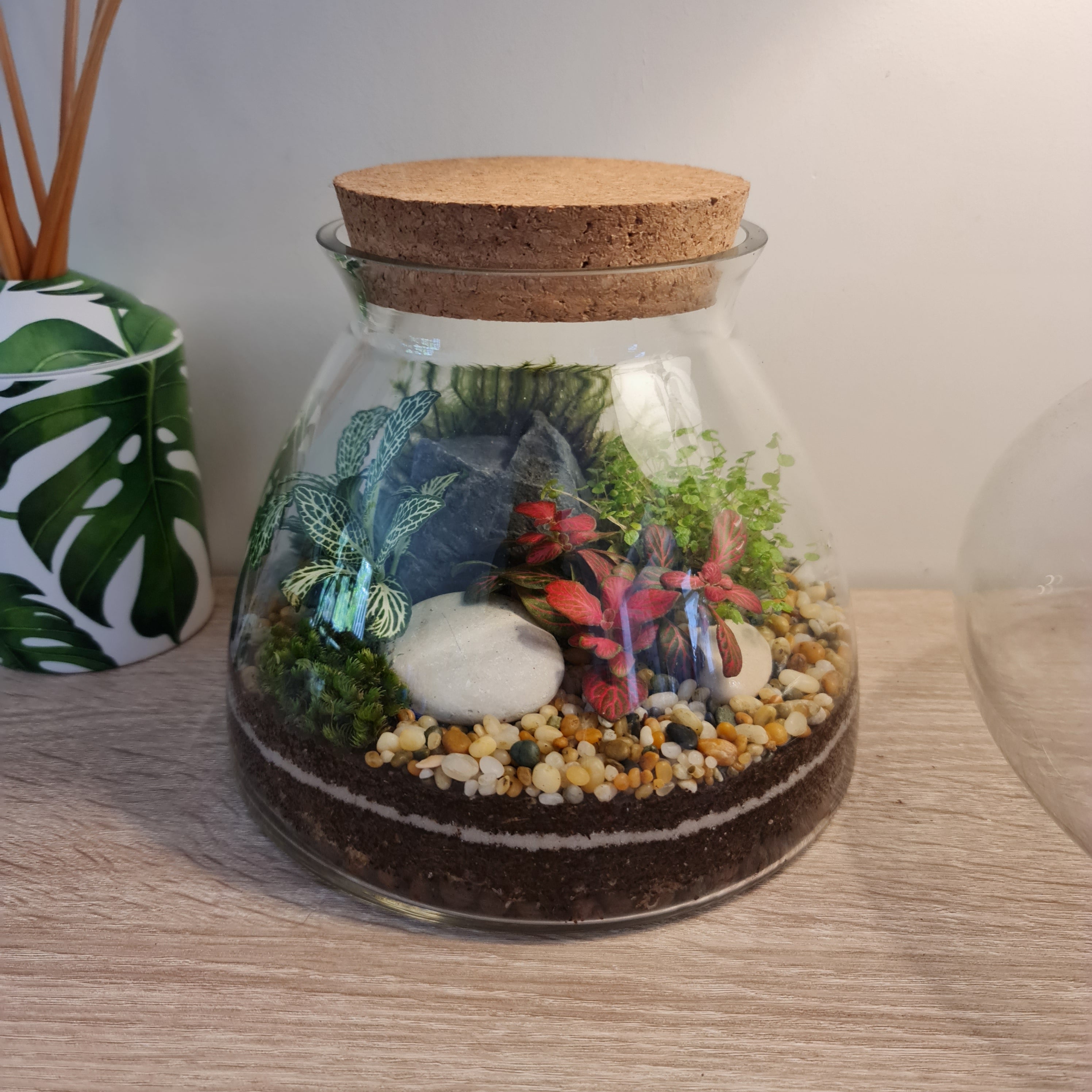 The First Step: Choosing The Perfect Terrarium Vessel – Mini Botanics