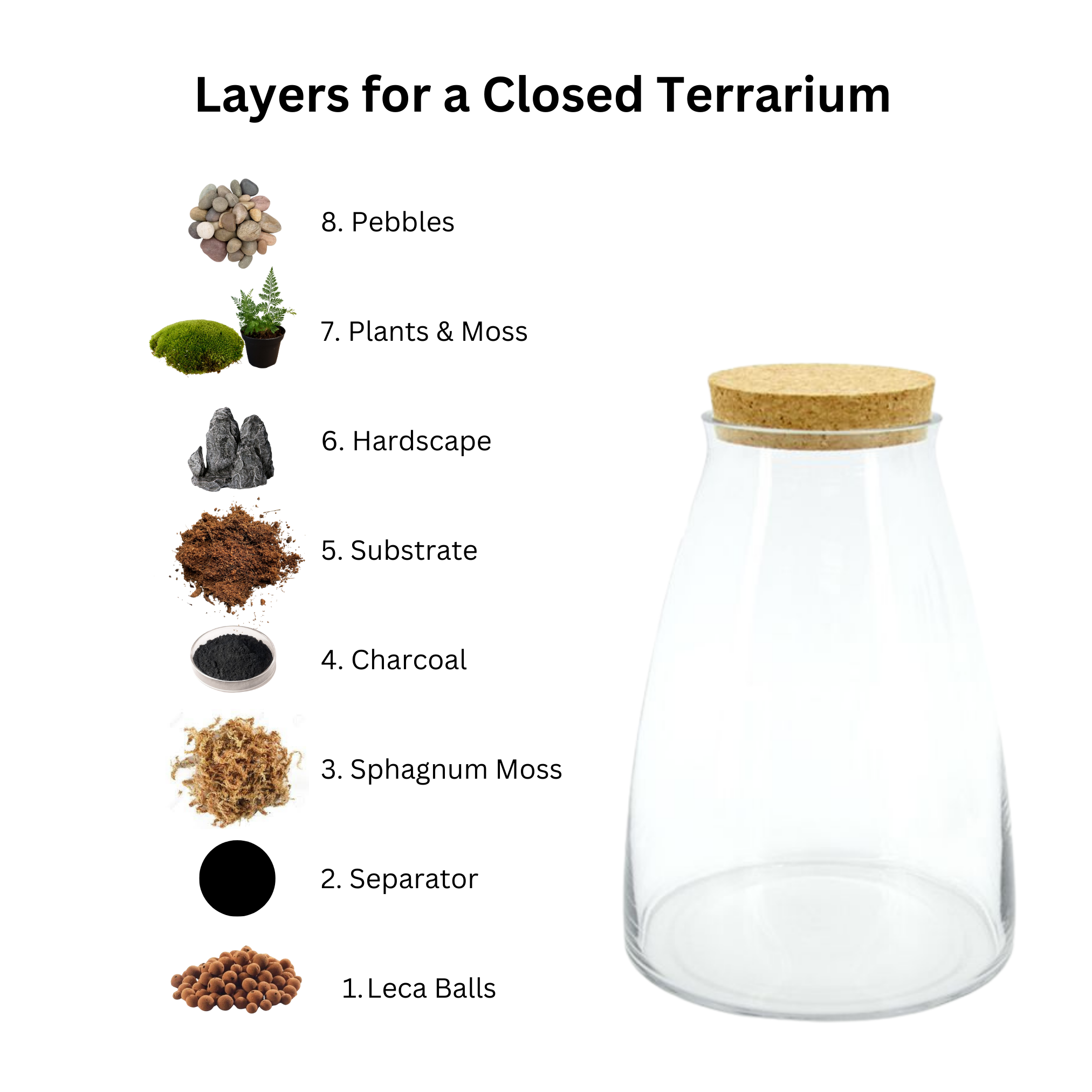 The Art of Creating Terrarium Layers Mini Botanics