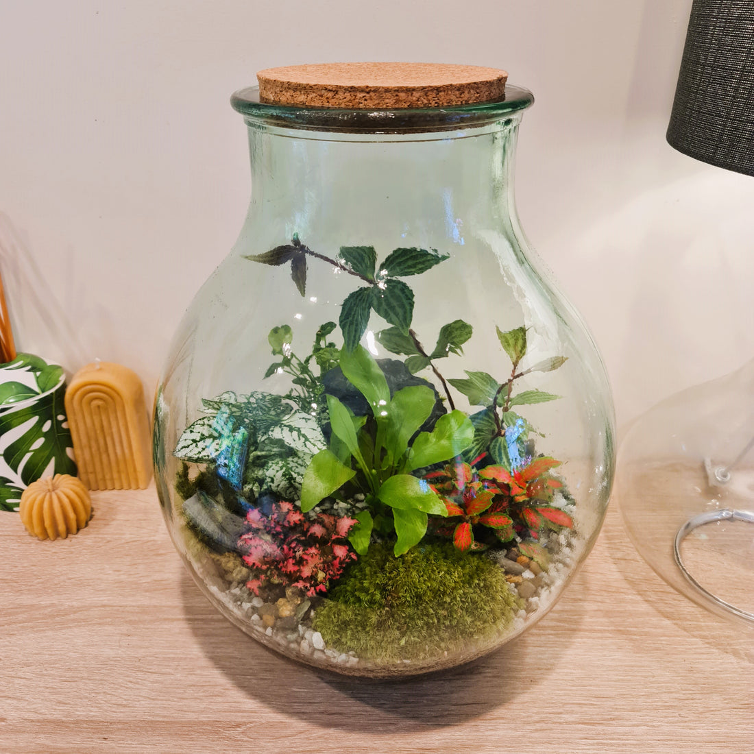 Introduction: Discover the Beauty of Terrariums and Their Benefits