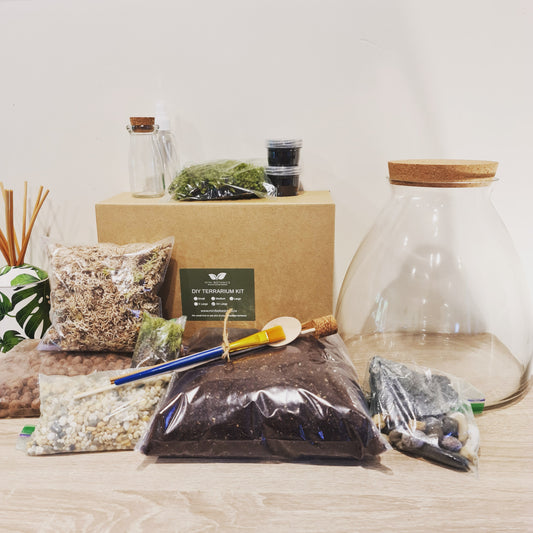 Gathering the Essential Supplies for Your Closed Terrarium Project