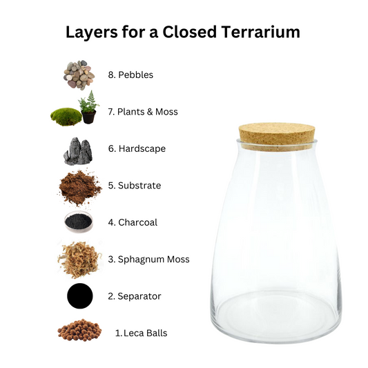 The Art of Creating Terrarium Layers