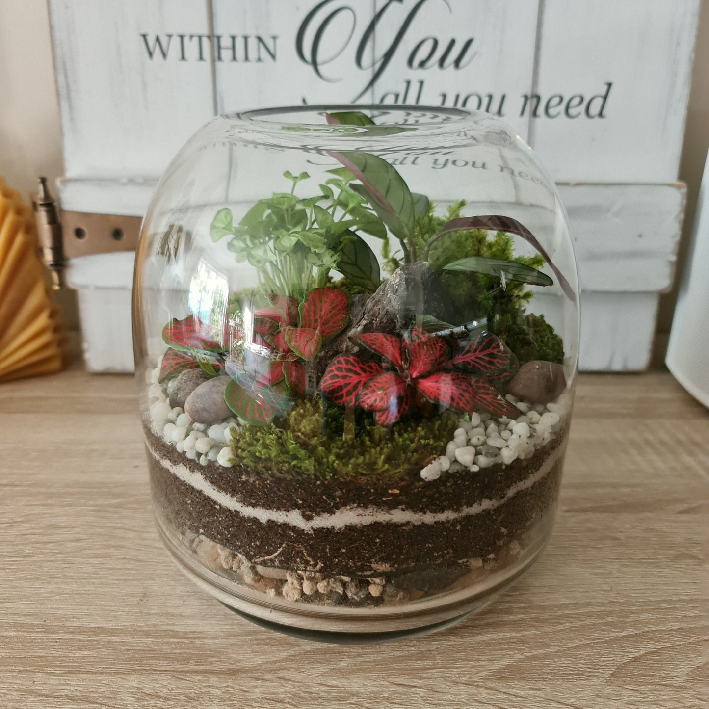 Botanical Terrarium - Medium