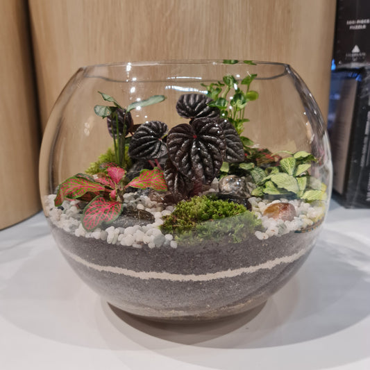 Bowl Terrarium Large