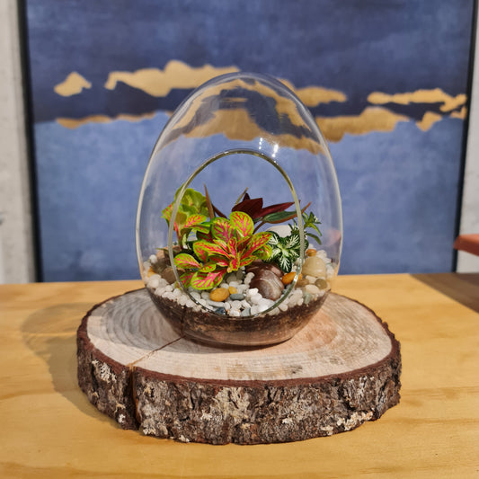 Open Egg Terrarium Small