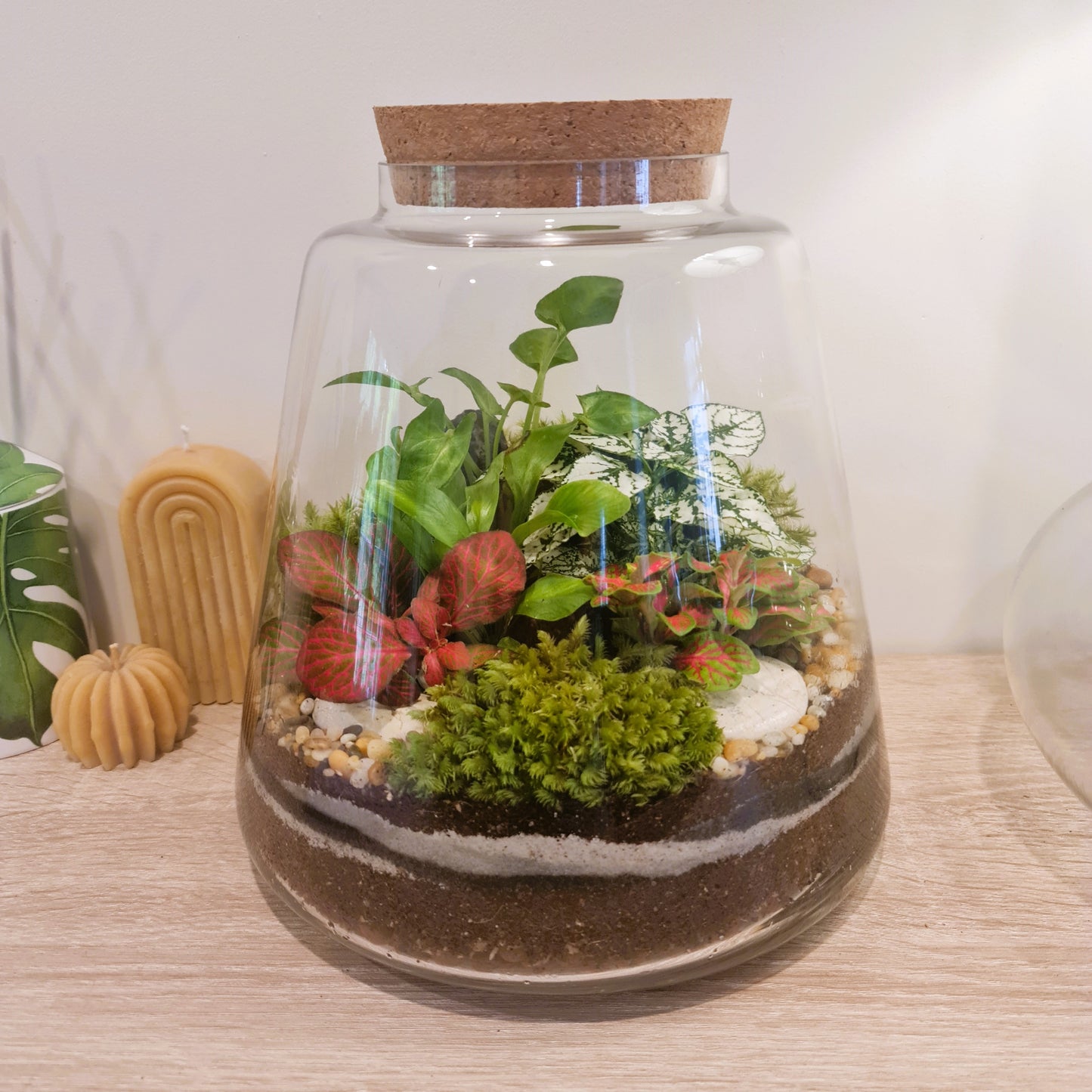 Glasshouse Terrarium