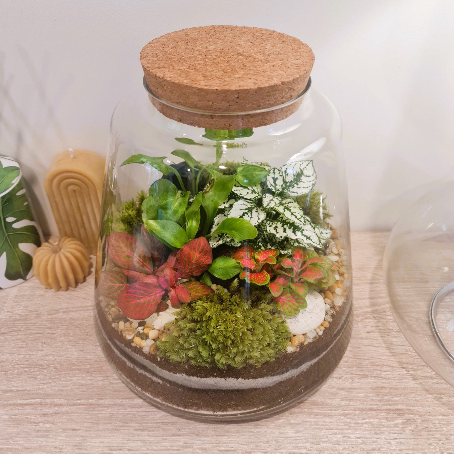 Glasshouse Terrarium