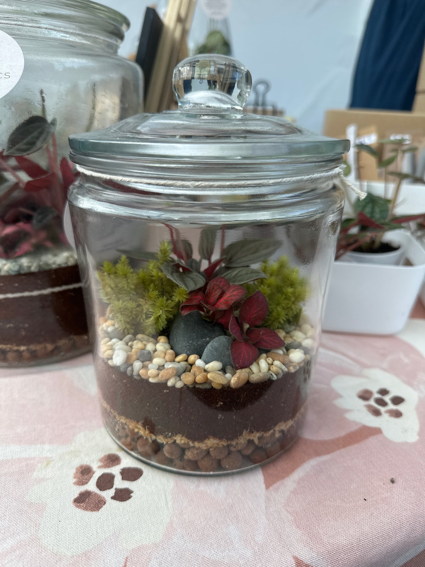 Terrarium Workshop 30 March 2025