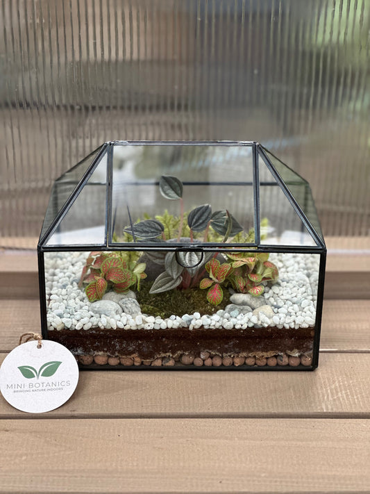 Glass House Small Terrarium