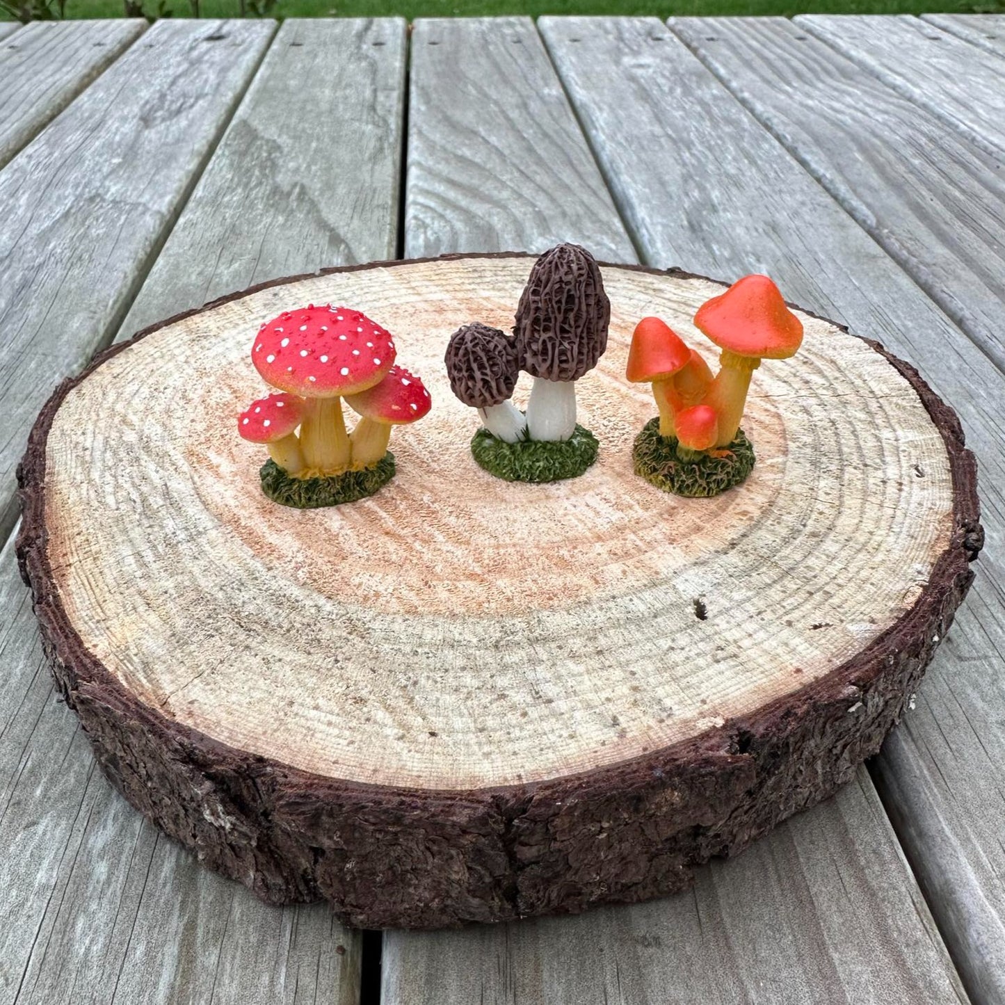 Mini Mushrooms 3pc