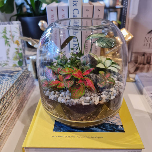 Botanical Terrarium - Medium