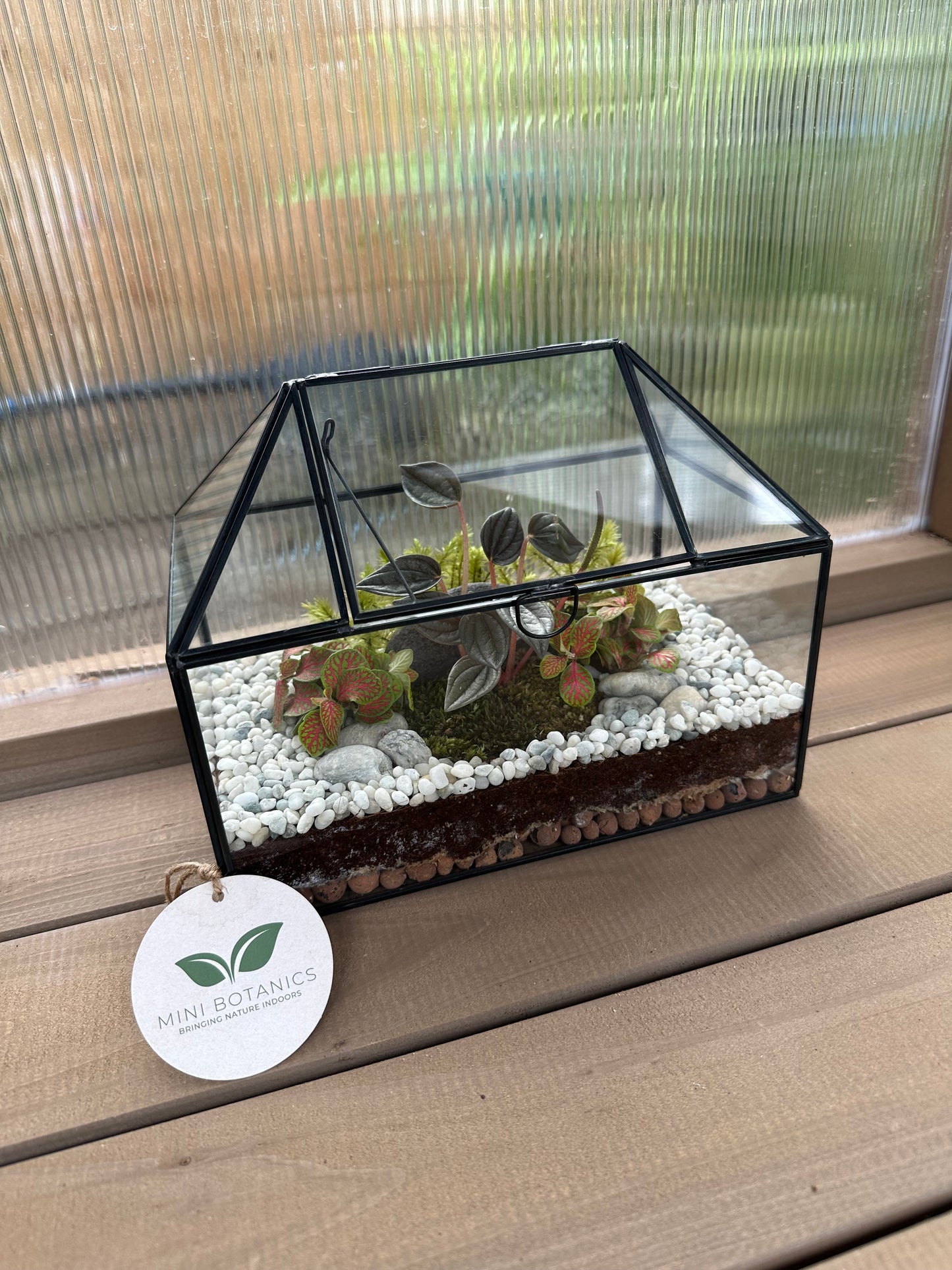 Glass House Small Terrarium