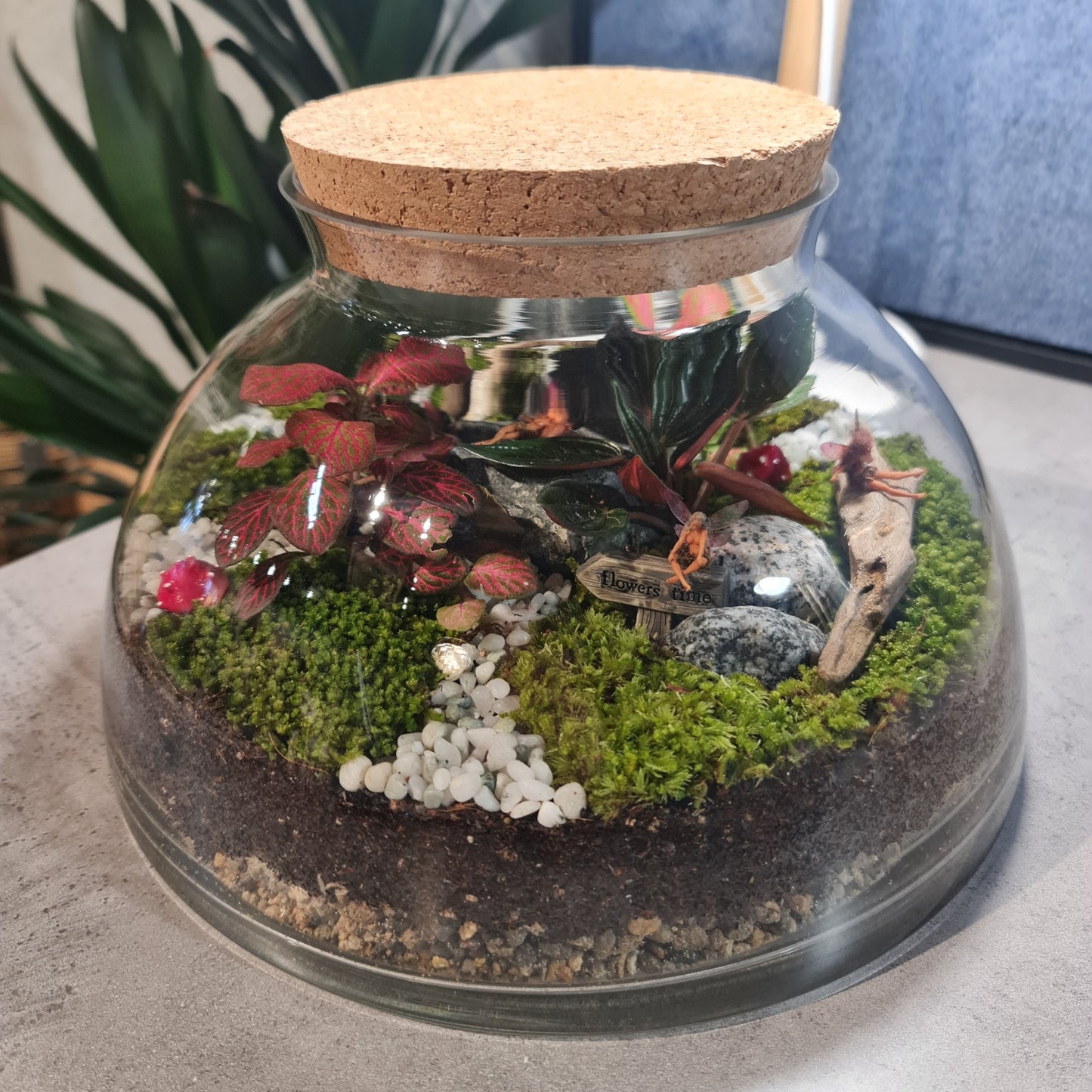 Forest Terrarium - Stubby