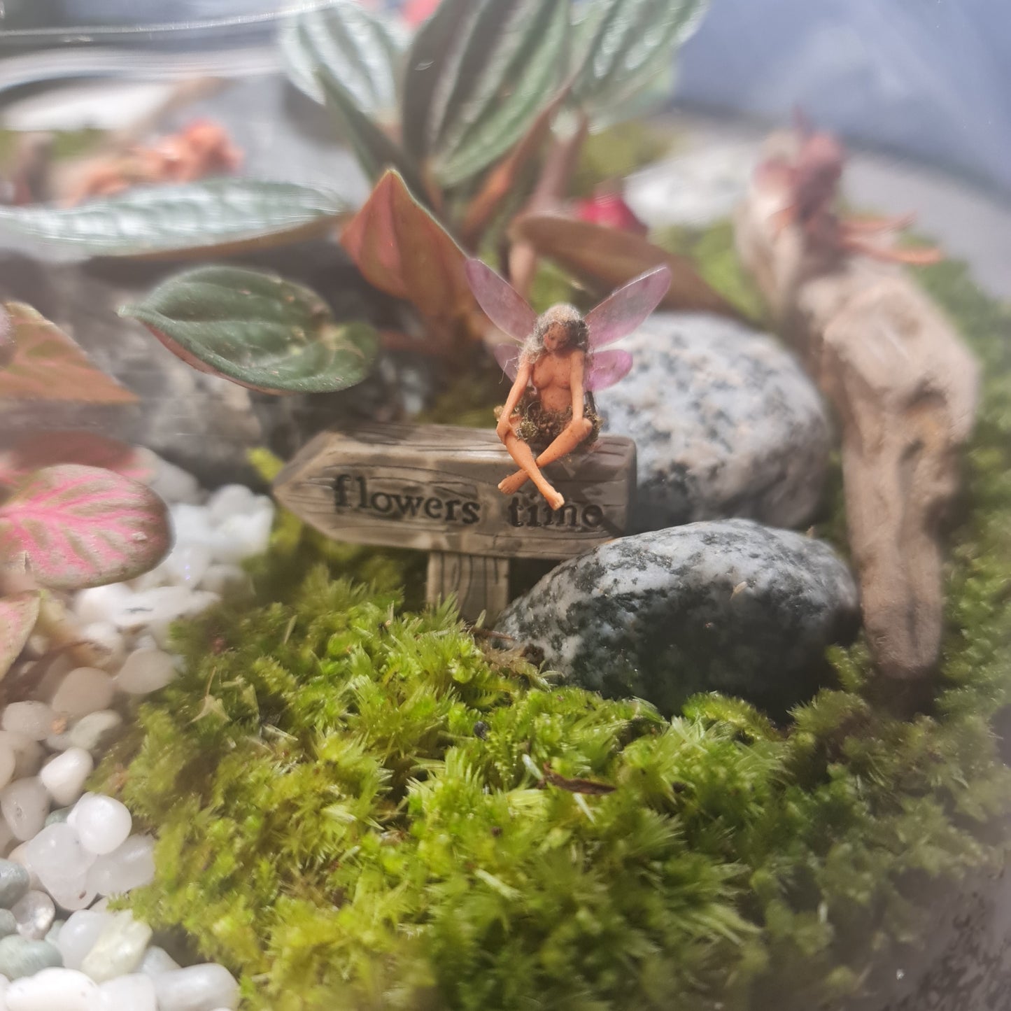 Forest Terrarium - Stubby