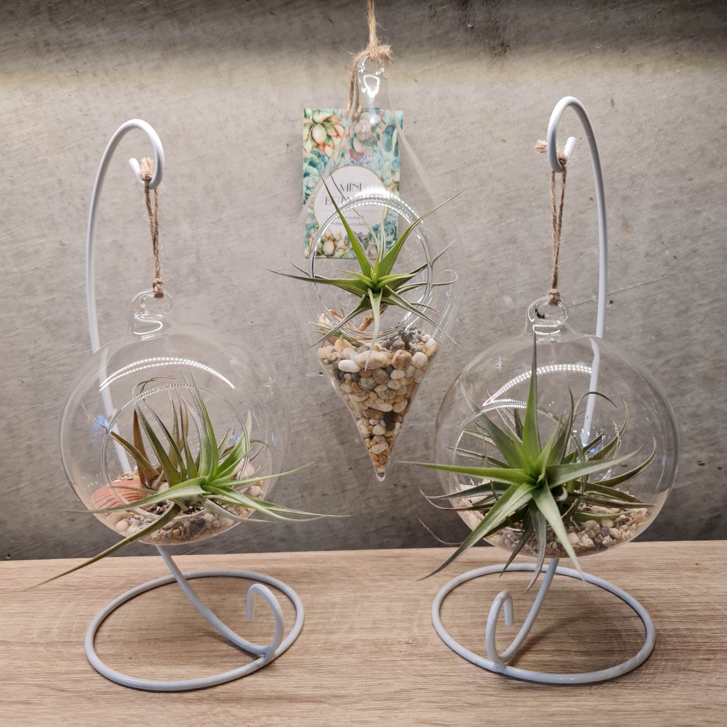 Mini Hanging Terrarium with Stand