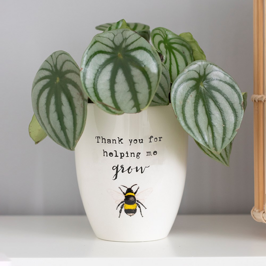 Thank You for Helping Me Grow Planter