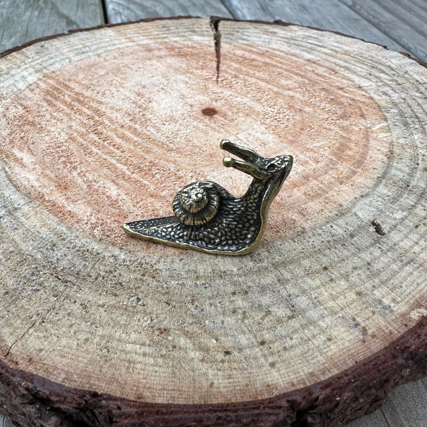 Mini Bronze Snail