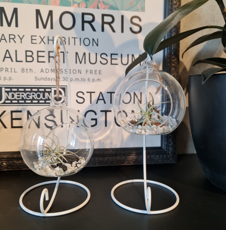 Mini Hanging Terrarium with Stand